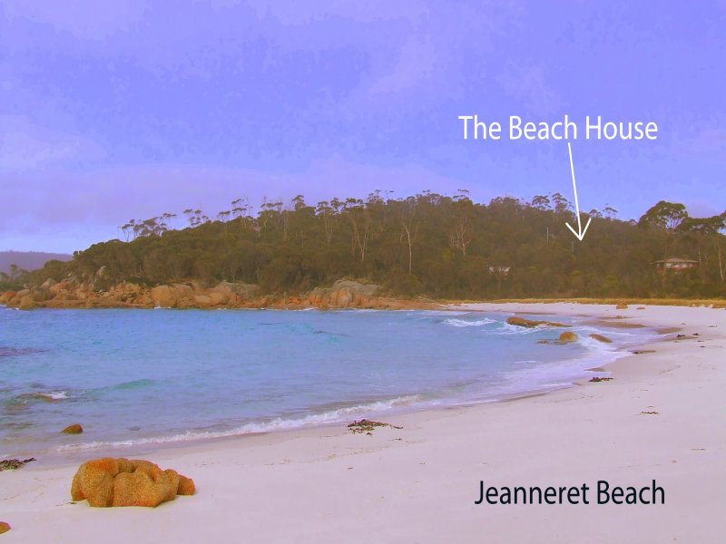 304 Gardens Road, Binalong Bay, Tas 7216