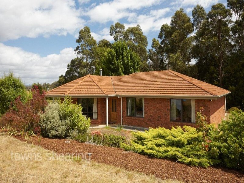17 Jacques Road, Hillwood, Tas 7252 Property Details