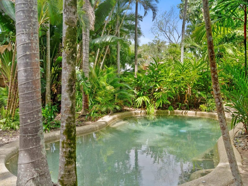 Open Plan Raked Ceiling 3 Legret Close, Clifton Beach, Qld 4879 - House for Rent - realestate ...