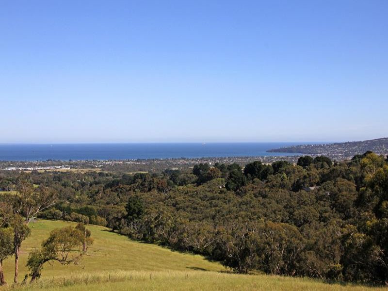 20 Tumbywood Road, Red Hill, VIC 3937