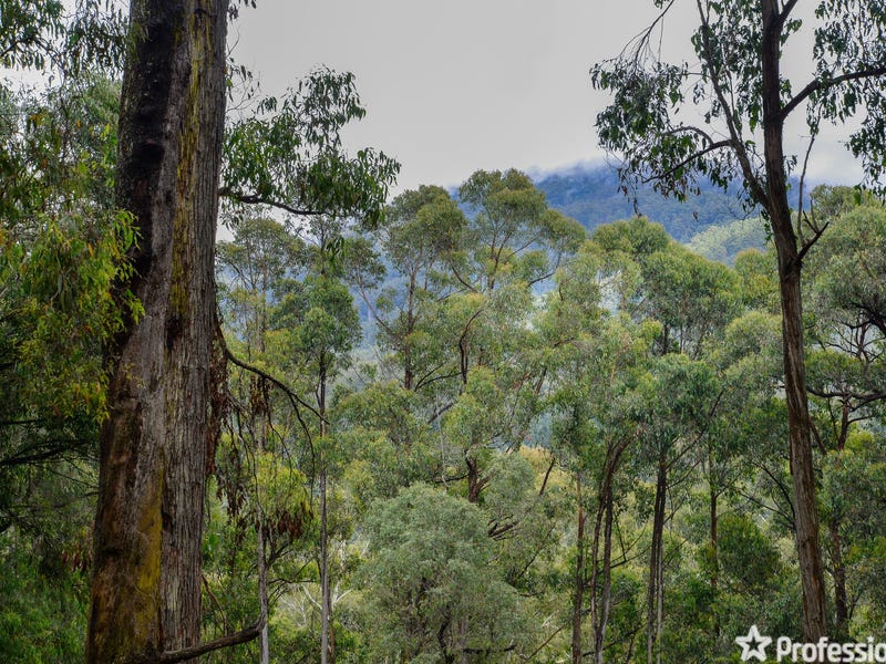 6 Yarra Valley Crescent, East Warburton, Vic 3799 Residential Land