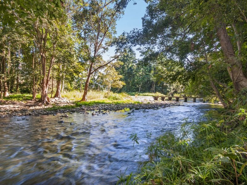 19 Nielsen Road, Little Mulgrave, Qld 4865 Property Details