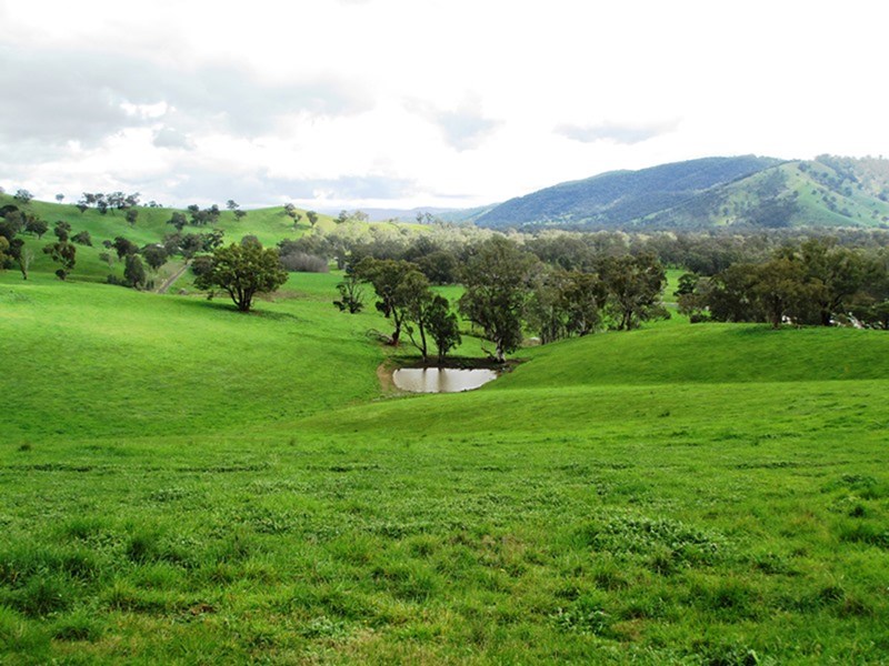 1599 WHANREGARWEN ROAD, Molesworth, Vic 3718 Property Details