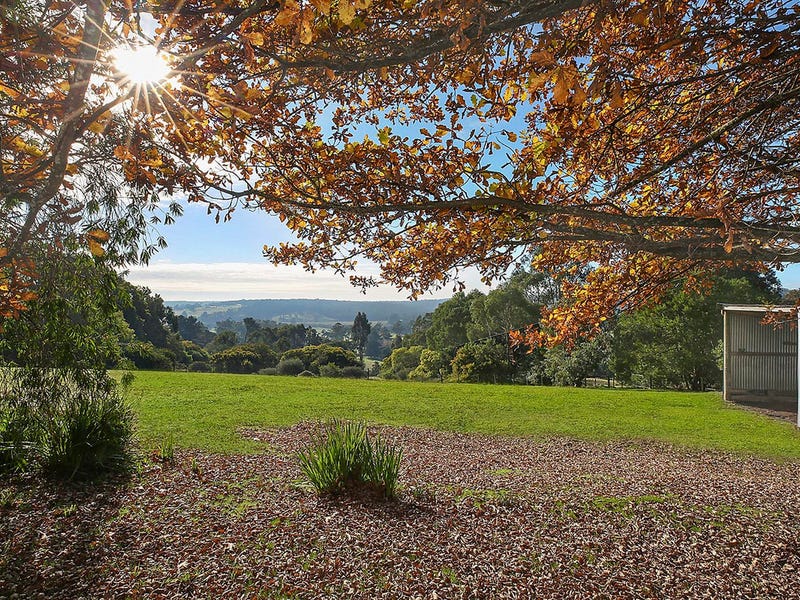 2740 Colac-Forrest Road, Forrest, Vic 3236 - Property Details