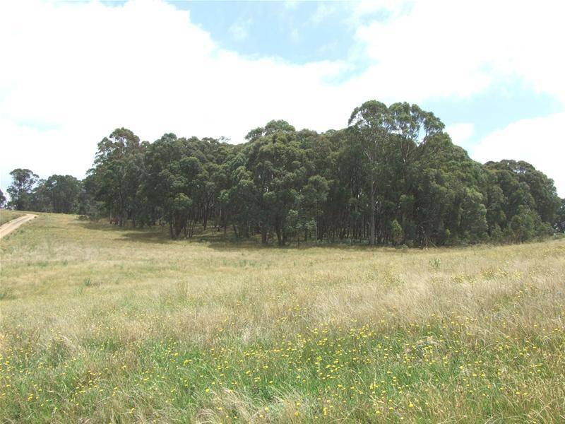 Property 7278189, Oberon, NSW 2787 Property Details