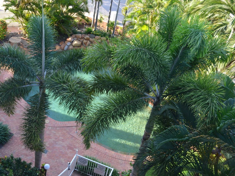 Rental Properties and Real Estate in Kelso, QLD 4815 Pg. 6 realestate