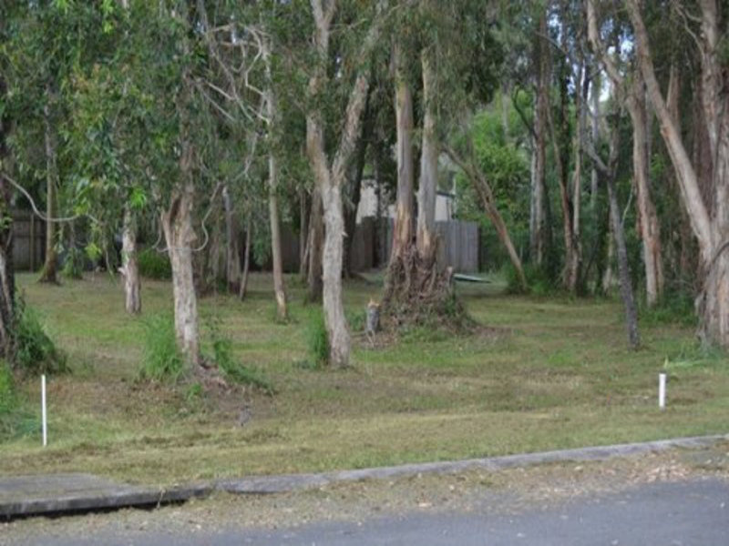 Pest control in Godwin Beach