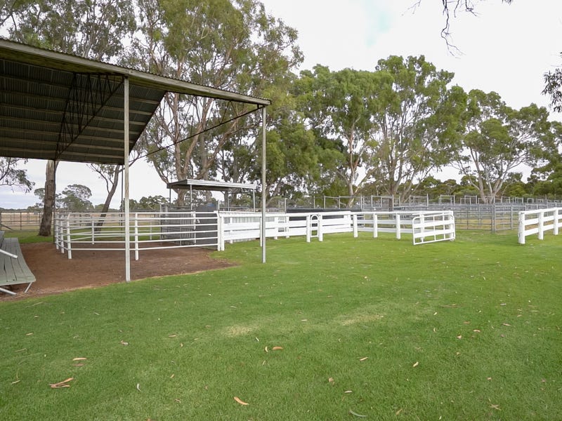 Real Estate & Property for Sale in Padthaway, SA 5271