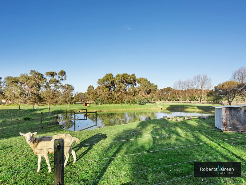 7 Carpenters Lane N, Hastings, VIC 3915