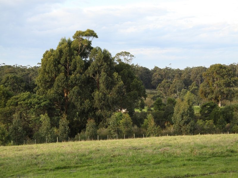 424 Colquhoun Road, Lakes Entrance, VIC 3909