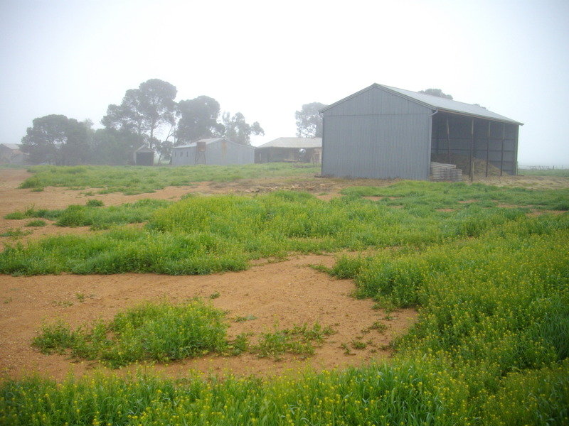 Laura/ Appila Road, Laura, SA 5480 Property Details