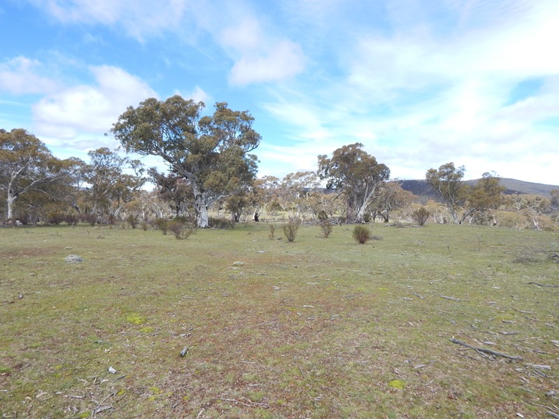 Lot 53 Nimmo Rd, Eucumbene, NSW 2628 Property Details