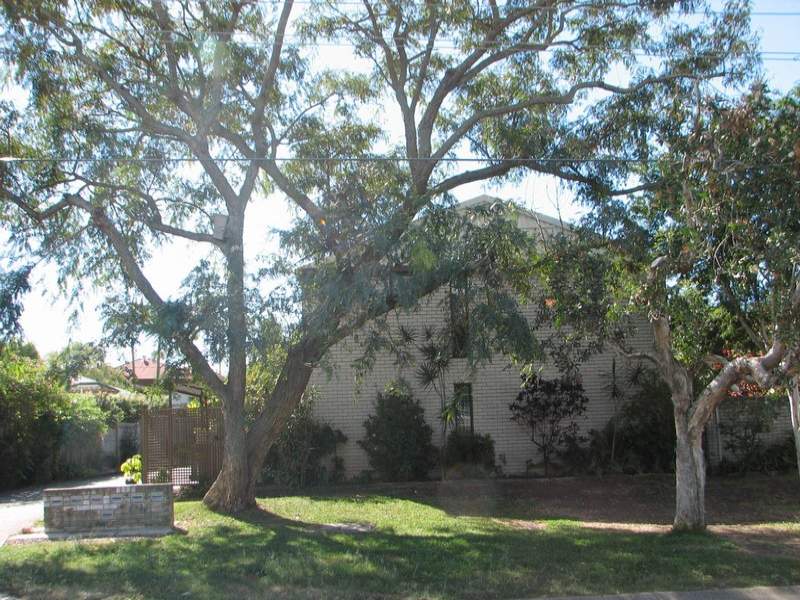 Pest control in Zillmere