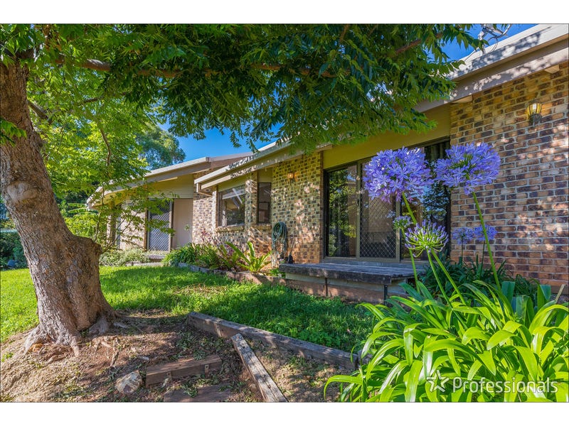 65 Guanaba Road, Tamborine Mountain, Qld 4272