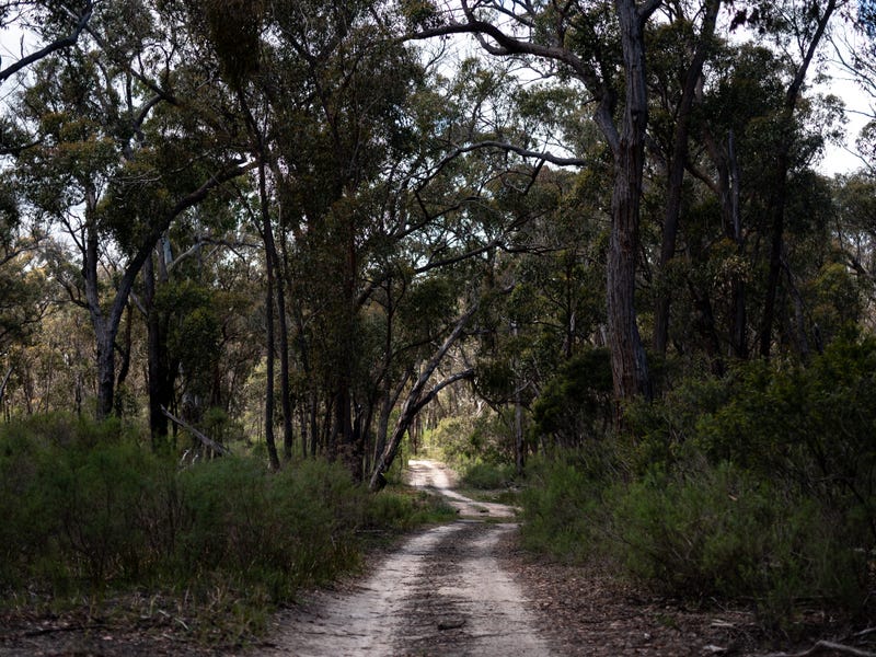 1331 Mount McKenzie Road, Tenterfield, NSW 2372 Property Details