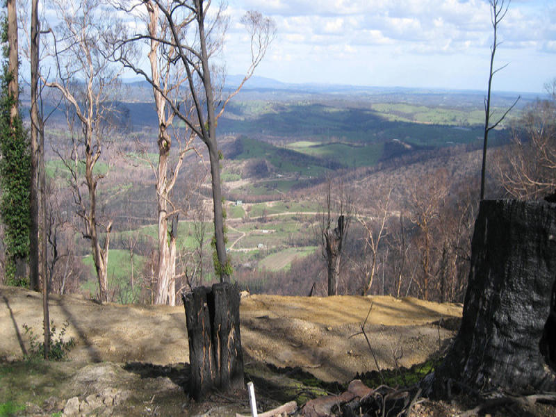 52 Pine Ridge Road, Kinglake West, VIC 3757