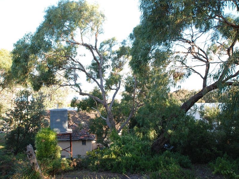 58 Goodlett Avenue, Loch Sport, VIC 3851