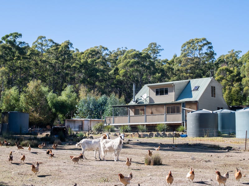 65 Austins Road, Turners Marsh, TAS 7267