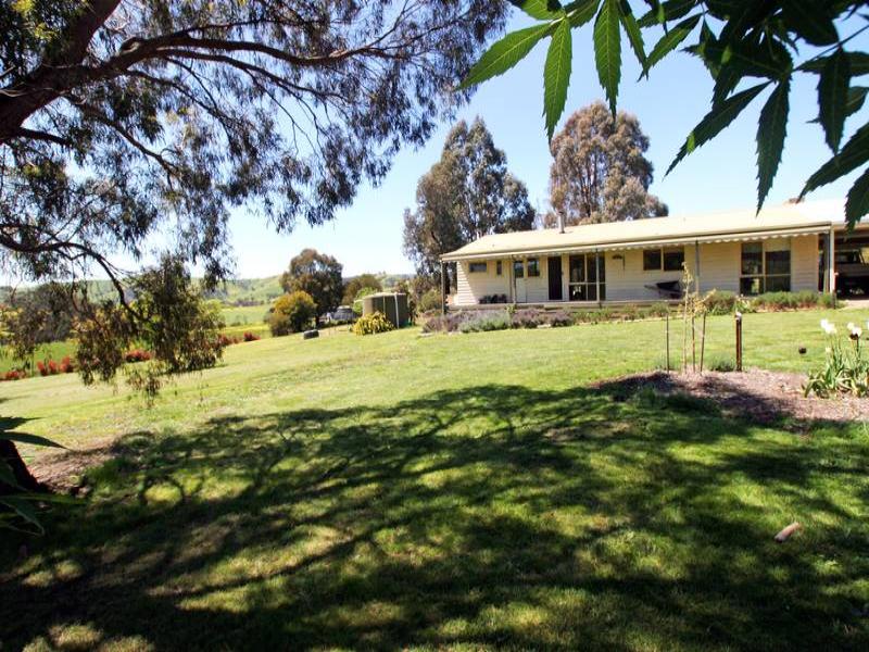 239 Steuarts Road, Glenburn, Vic 3717 Property Details