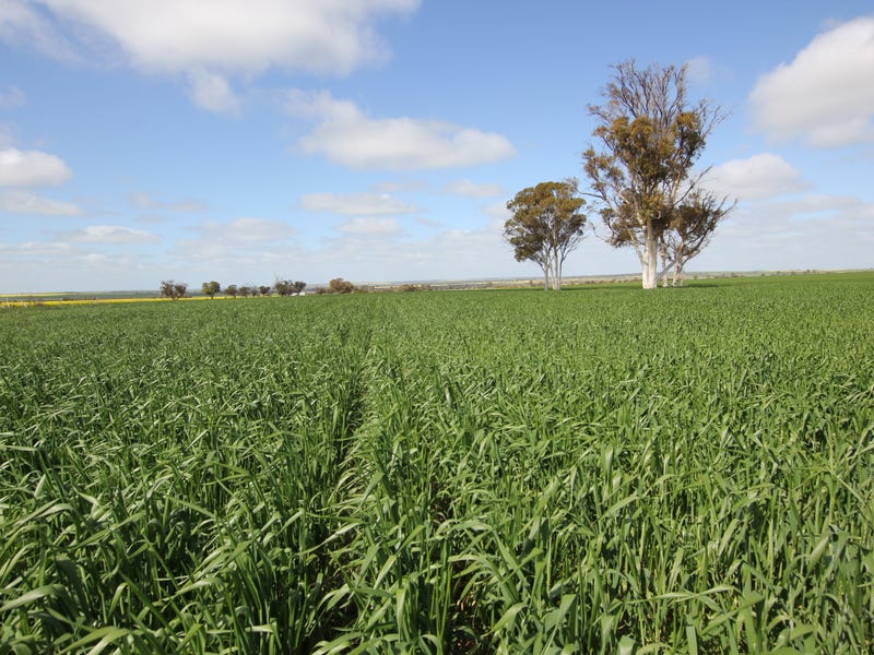 Lots YorkMerredin Road, Shackleton, WA 6386 Property Details