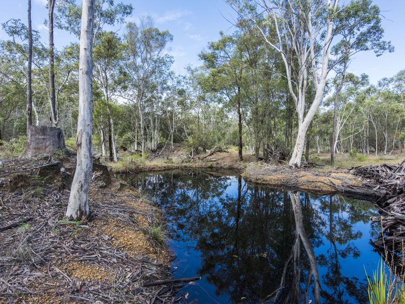 288 Black Swan Drive, Coutts Crossing, NSW 2460 Residential Land for