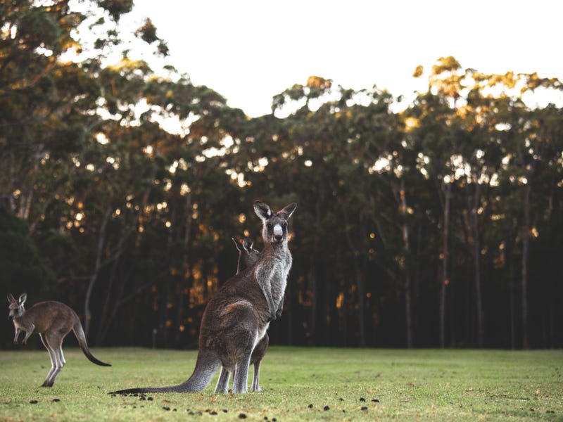 Sussex Inlet Golf Village Land Estate at Golfcourse Way