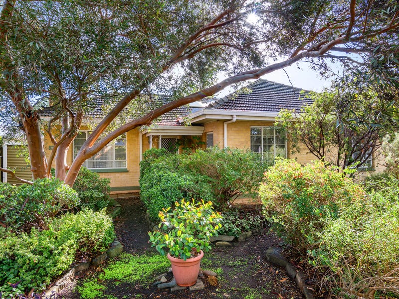 17 Coolah Terrace, Marion, SA 5043 - Property Details