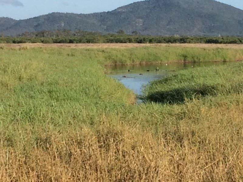 Lot 2 Telegraph Road, Bowen, Qld 4805 Property Details