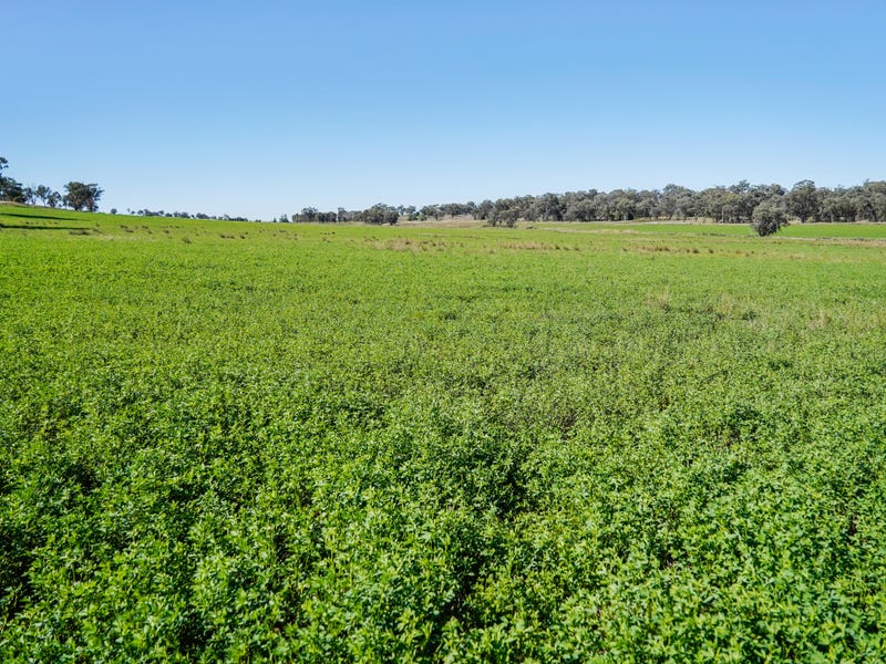 9228 Mitchell Highway