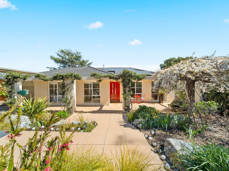 Discover Picki Your Ultimate Property Investment Engine