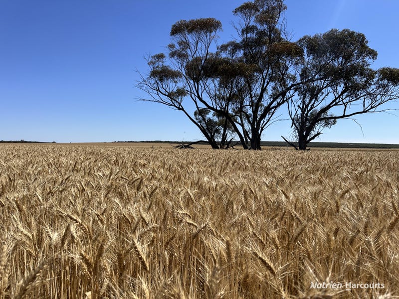 . Bruce Rock-Quairading Road