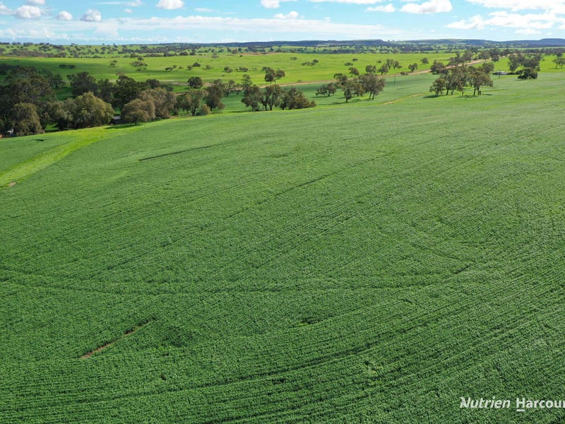 539 Black Arrow Road