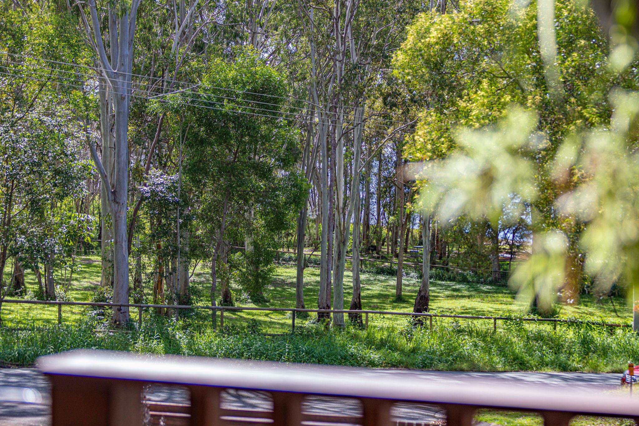4 Morning Glory Drive, Cooroibah Sold by Ray White Noosa - image 27