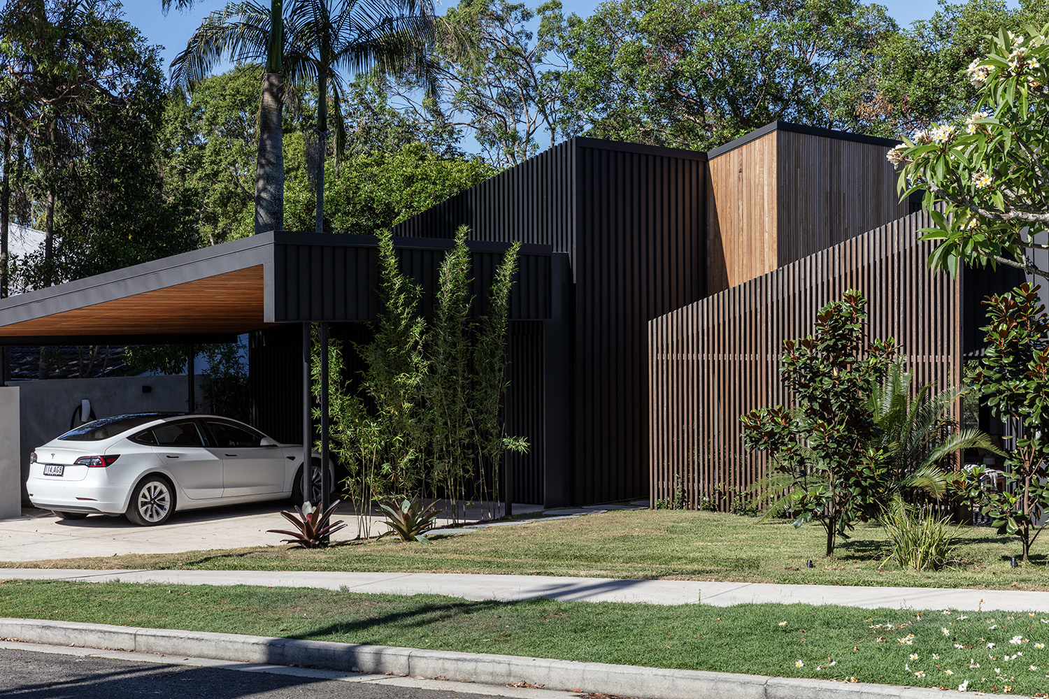56 Allambi Terrace, Noosa Heads Sold by Ray White Noosa - image 31