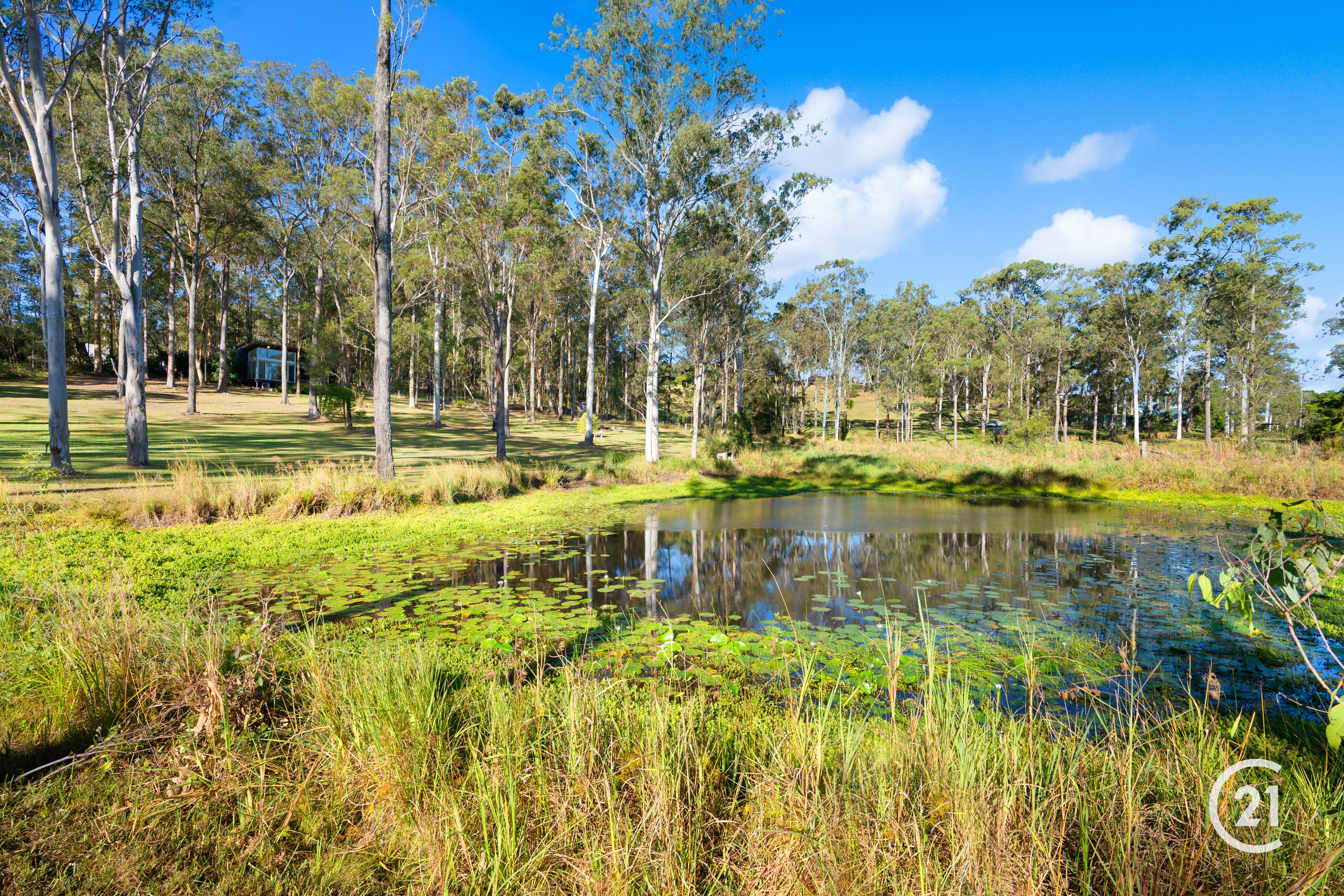 6 Wallaby Lane, Tinbeerwah Sold by Ray White Noosa - image 33