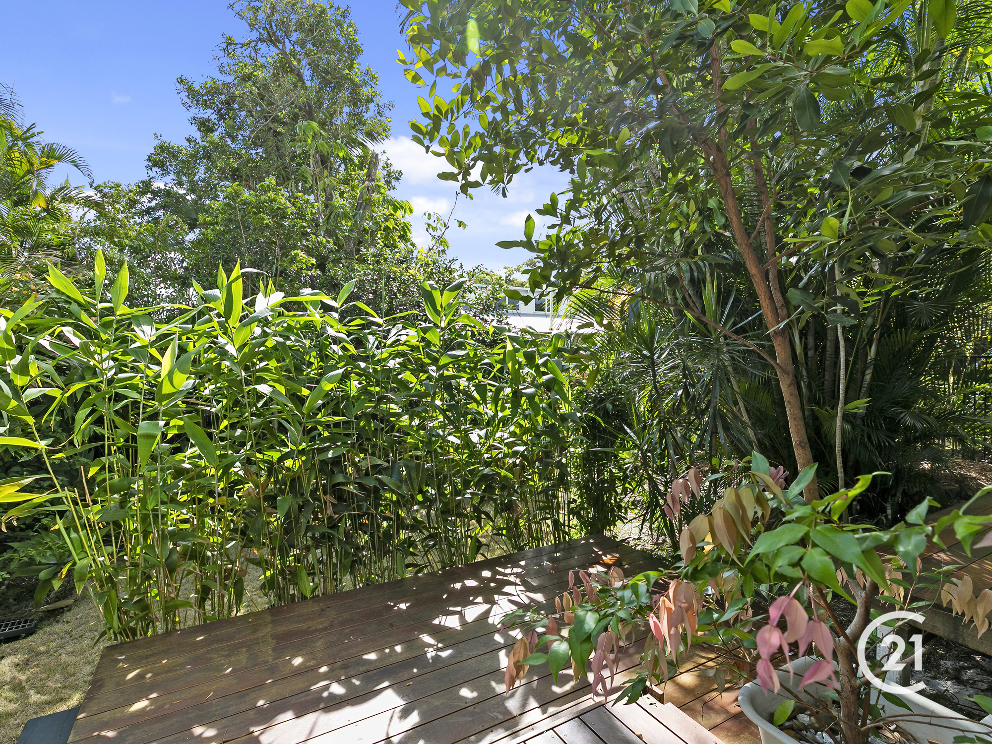 65 Weyba Street, Sunshine Beach Sold by Ray White Noosa - image 30