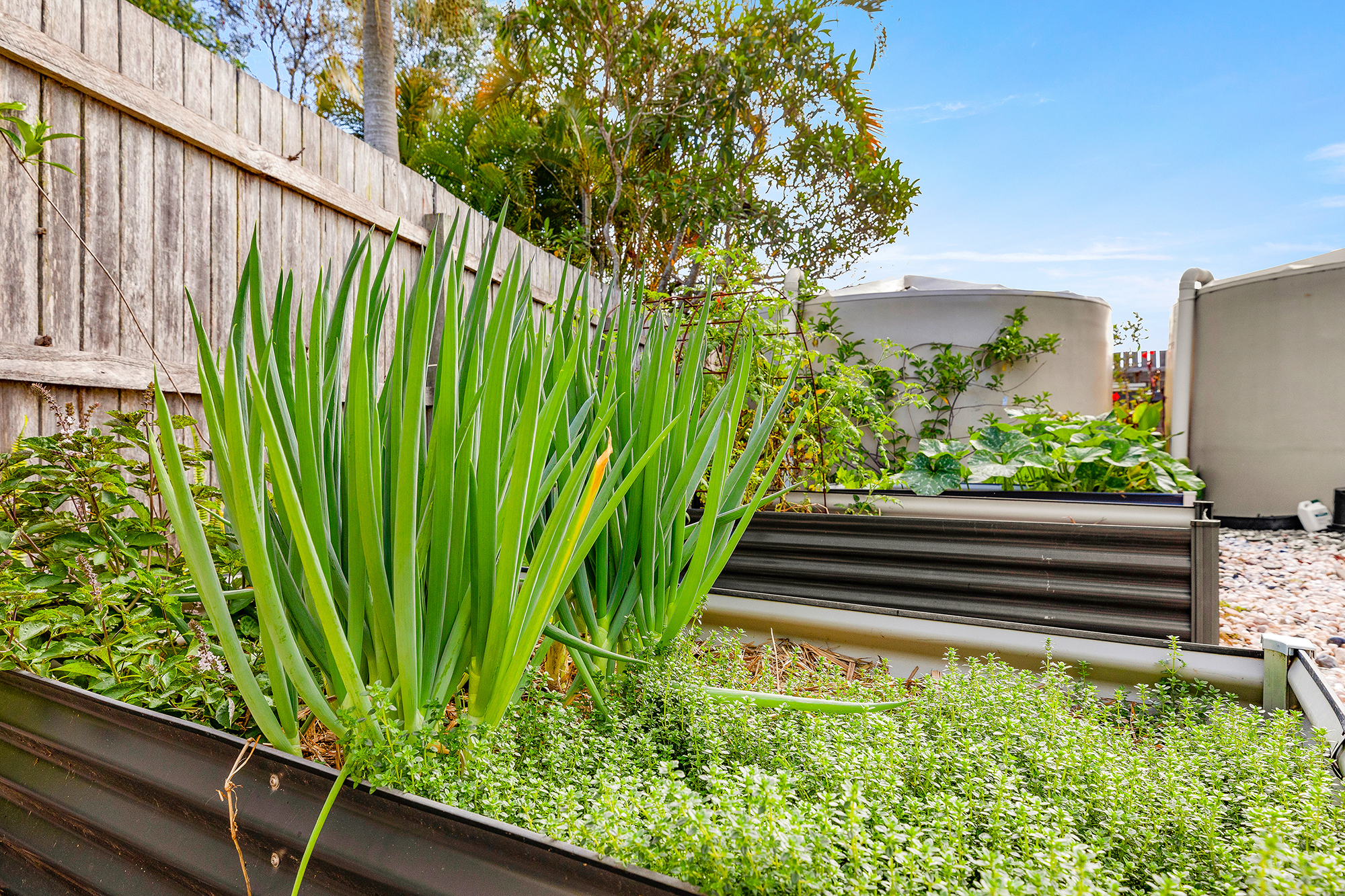 24 Eucalypt Way, Cootharaba Sold by Ray White Noosa - image 29