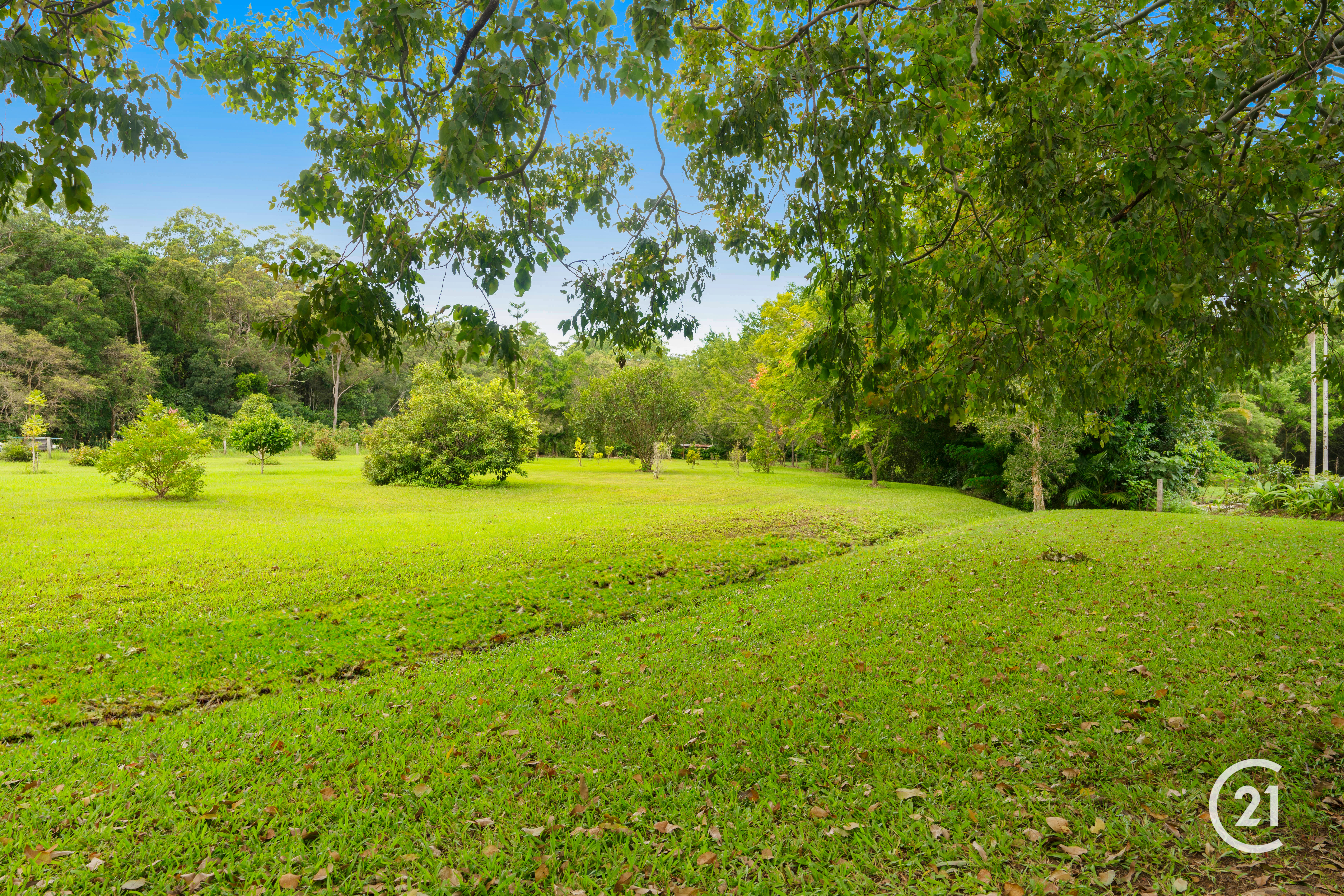 29 Youngs Drive, Doonan Sold by Ray White Noosa - image 30