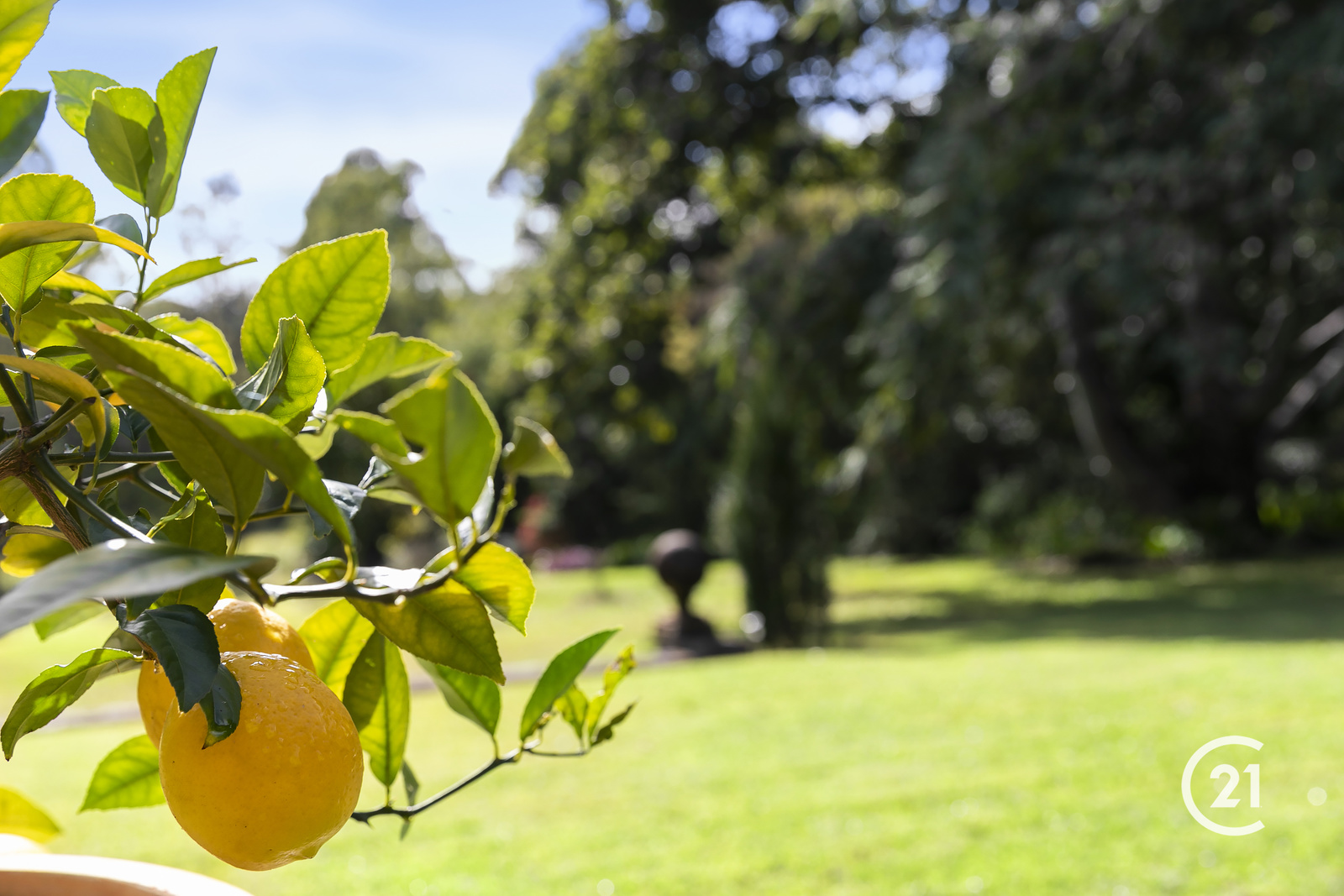 155 Seib Road, Eumundi Sold by Ray White Noosa - image 34