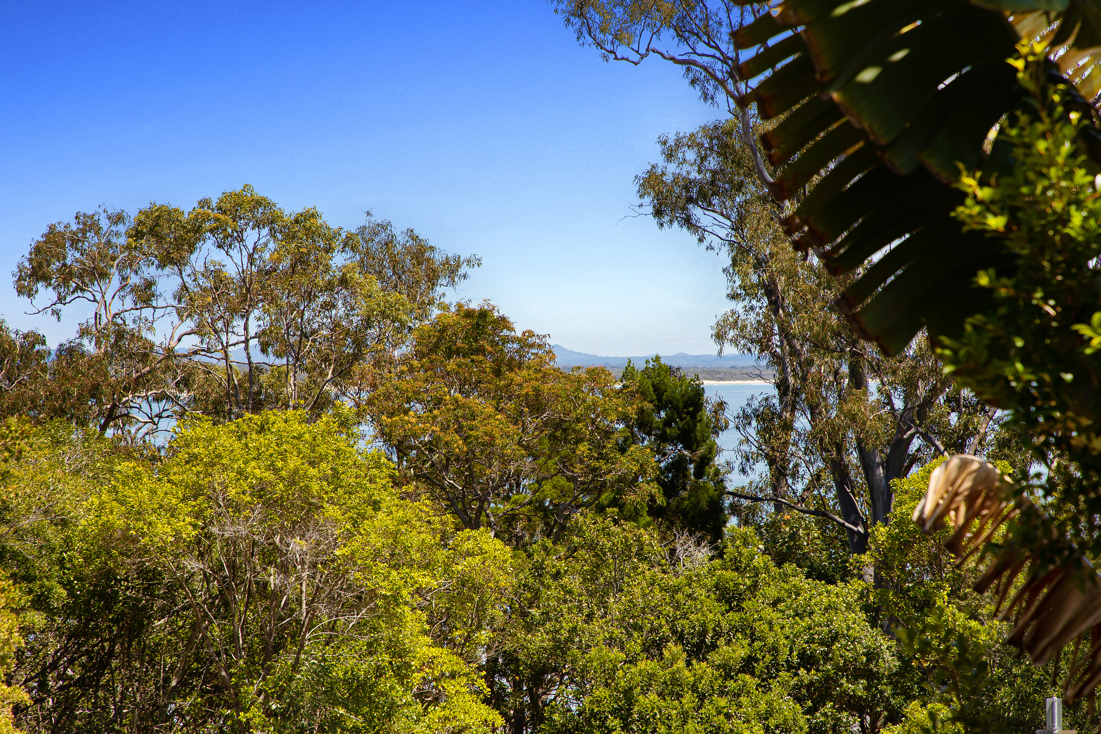 5/7 Mitti Street, Noosa Heads Sold by Ray White Noosa - image 27
