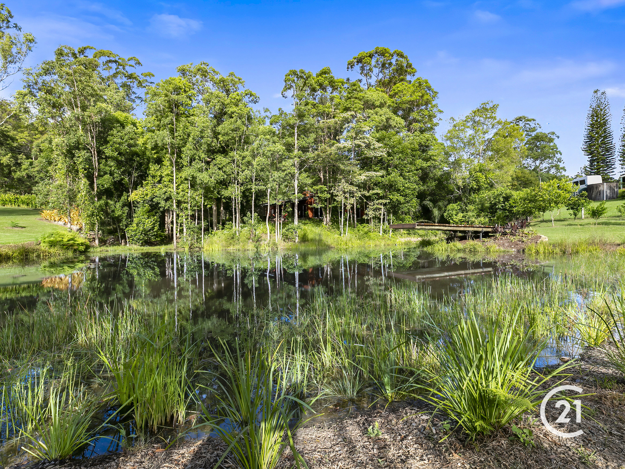 38 Seib Road, Eumundi Sold by Ray White Noosa - image 34
